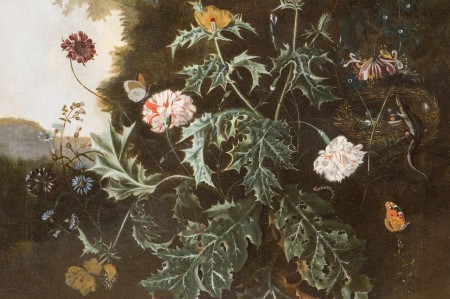 Woodland still life (detail), about 1700 Alida Withoos (1659/60–1730), collection Museum Flehite