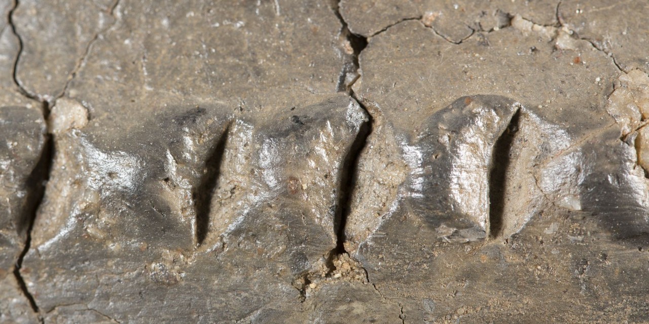 Urn found in burial mound