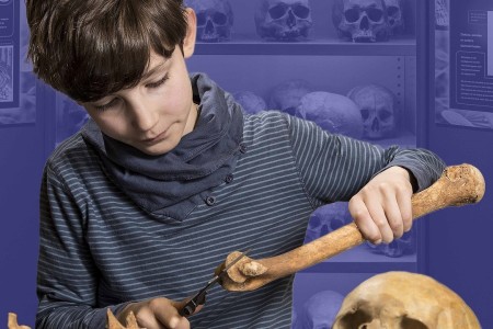 Familietentoonstelling Cold Cases Amersfoort