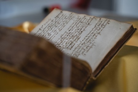 Dagboek Jan Francken over de laatste maanden van Van Oldenbarnevelt