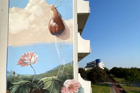 Janisdeman schildert Withoos