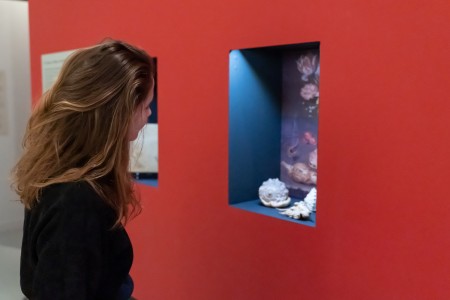 Ontdek Museum Flehite vast online