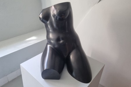 Beelden van Kees Verwey