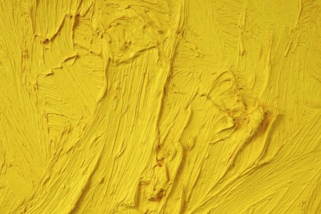 Jan de Beus: painter-collector